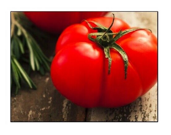 Beefsteak Tomato Seeds | Non-gmo | Heirloom | Fresh Vegetable Seeds