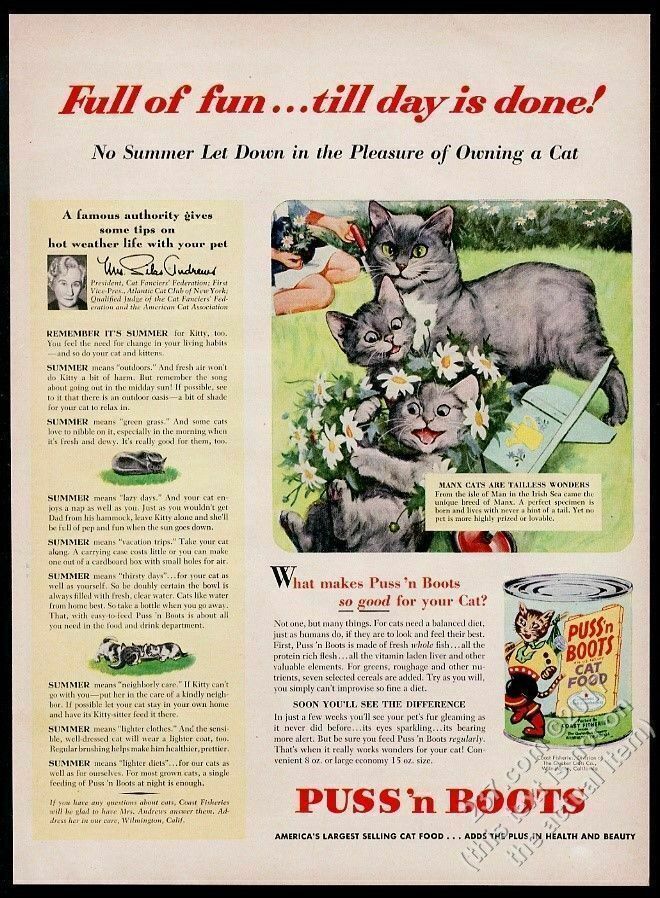 1953 Manx Cat Kitten Art Puss N Boots Cat Food Vintage Print Ad