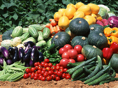 Vegetable Seed Lot  $1.39 Ea 163 Heirloom Varieties For Garden/ Storage Organic