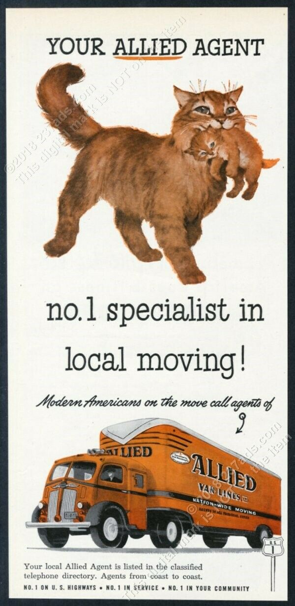 1950 Cute Cat Carrying Kitten Art Allied Van Lines Moving Vintage Print Ad