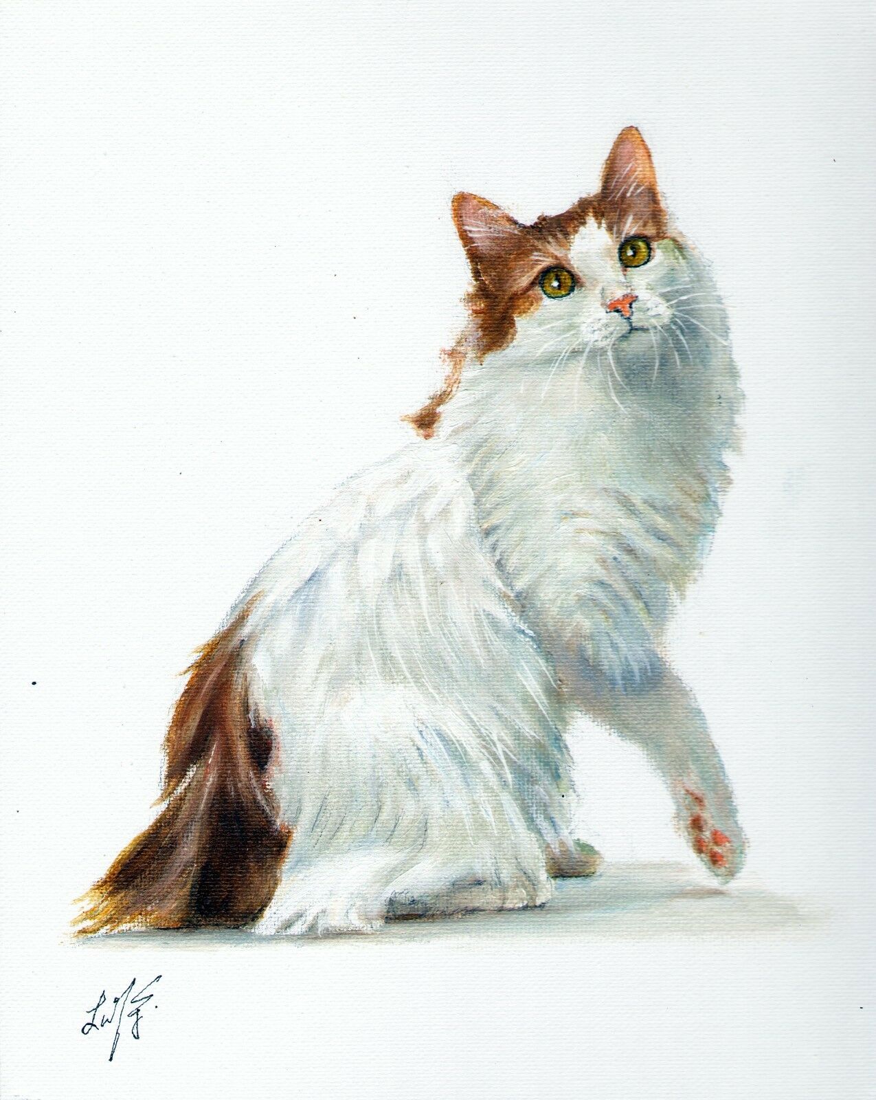 Original Oil Portrait Painting Signed Art Japanese Bobtail Longhair Cat Kitten
