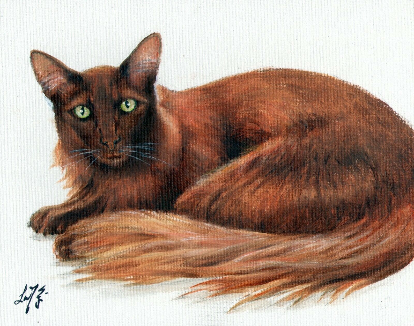 Original Oil Portrait Painting Angora Artist Signed Artwork Cat Kitten Feline
