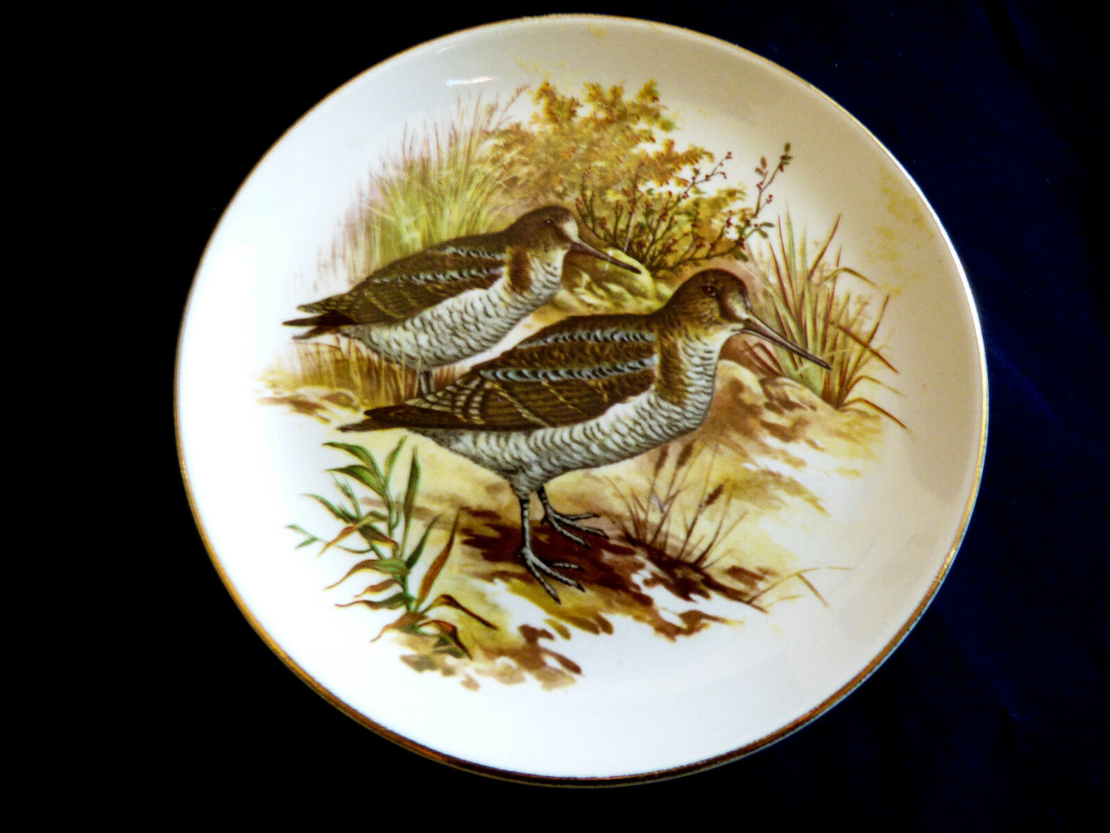 Vtg Old Foley James Kent England Wild Life Hunting Birds Quail Small Plate Dish