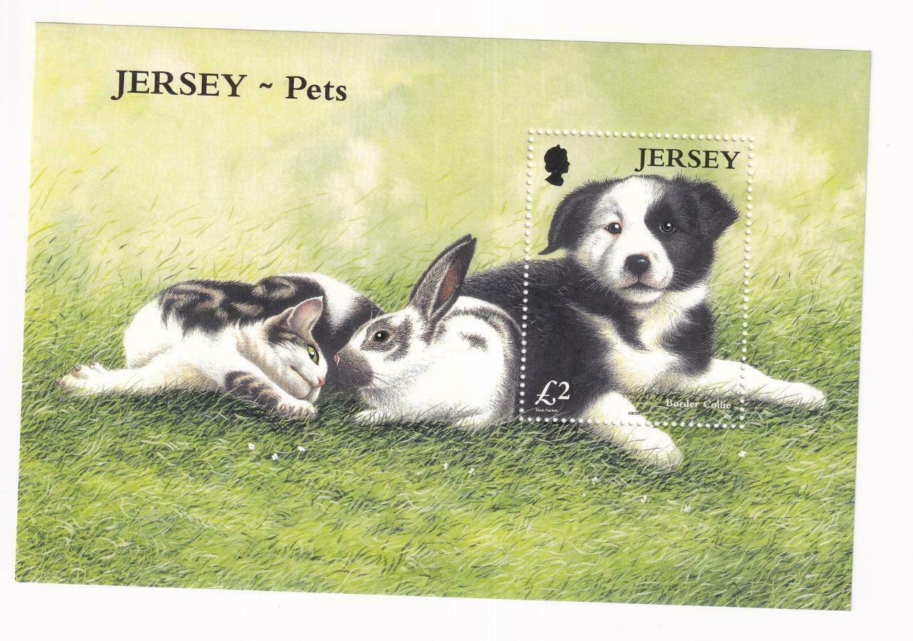 Gb Jersey Pets Rabbit Cat Boarder Collie Mnh Post Office Fresh S/sheedt