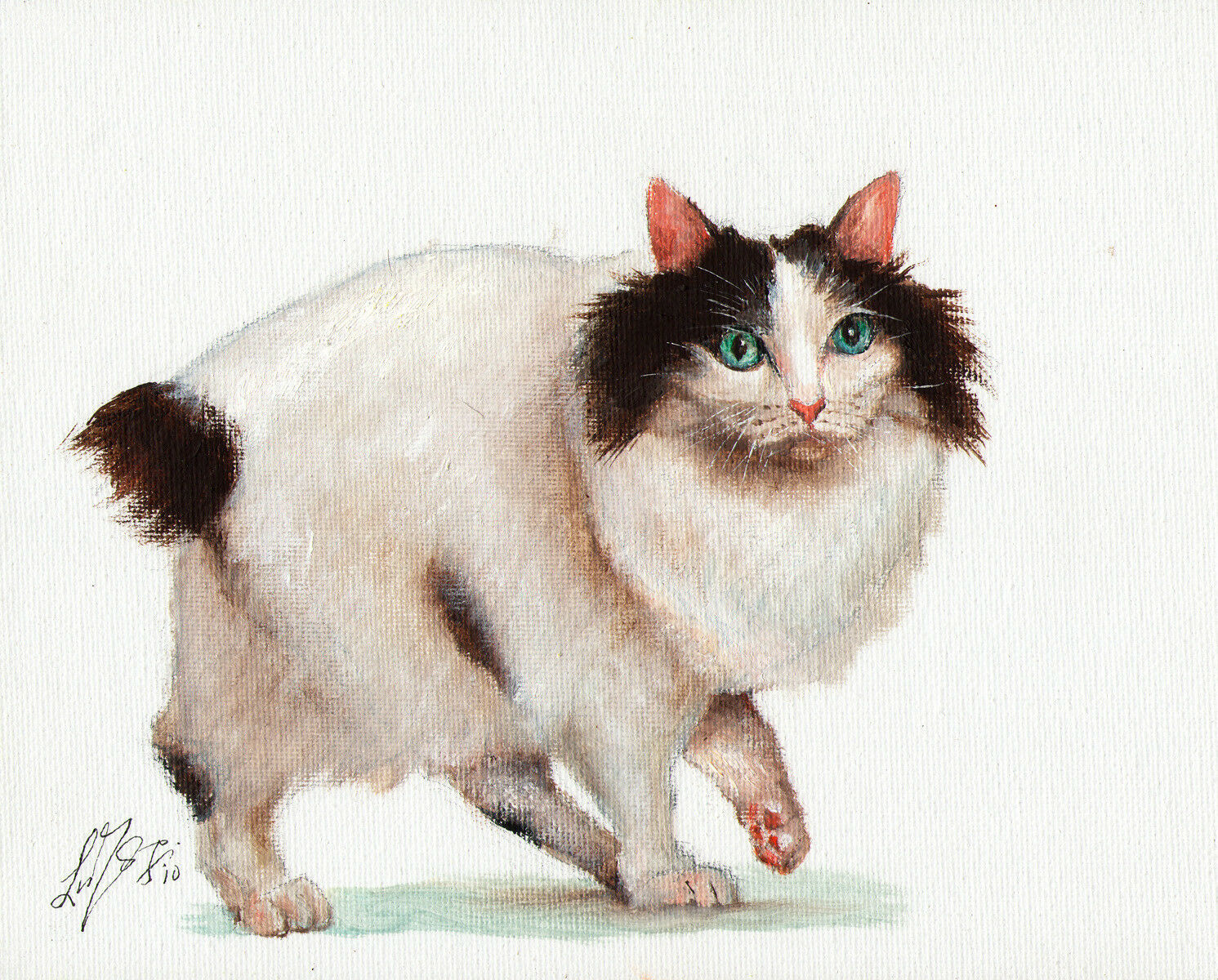 Original Oil Cat Portrait Painting Art Artwork Japanese Babtail Black White